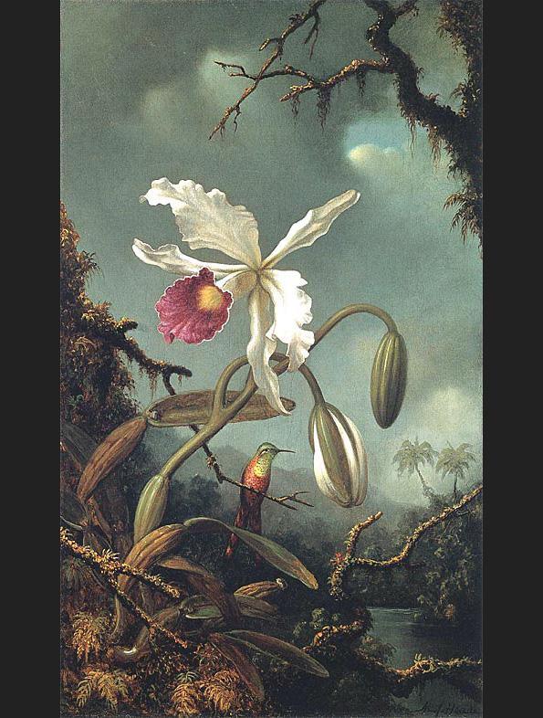 Martin Johnson Heade Famous Paintings page 6